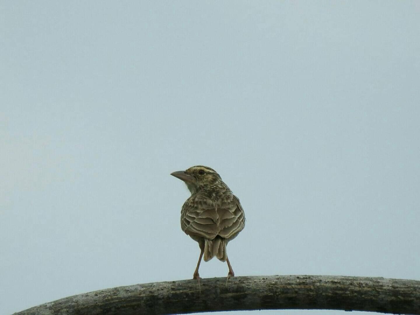 Baanraisooksangchan Kaeng Kachan Buitenkant foto