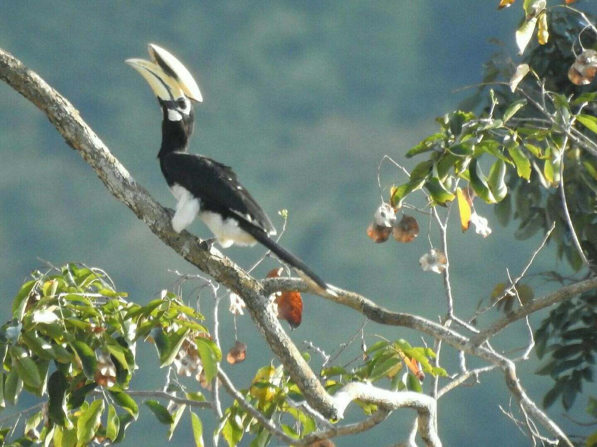 Baanraisooksangchan Kaeng Kachan Buitenkant foto